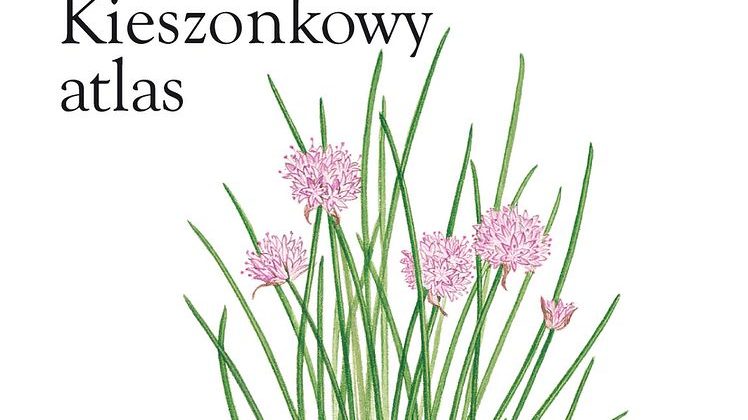 Zioła i rośliny lecznicze. Kieszonkowy atlas